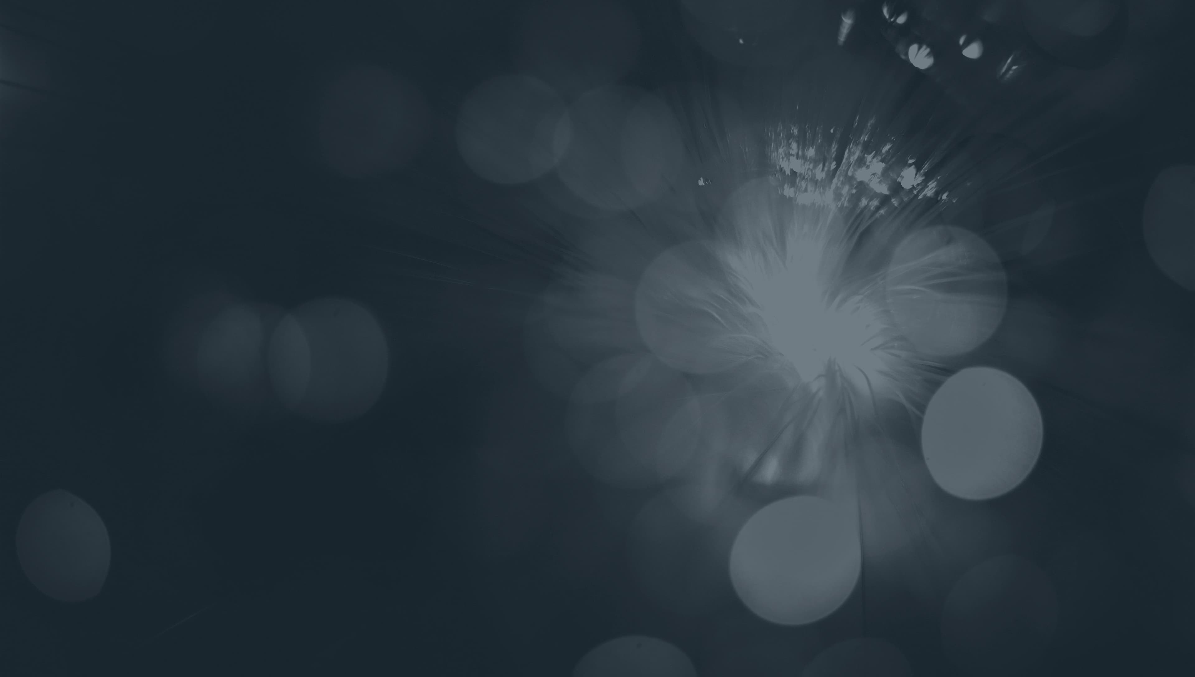 Projecting expected mutual fund performance with a data model