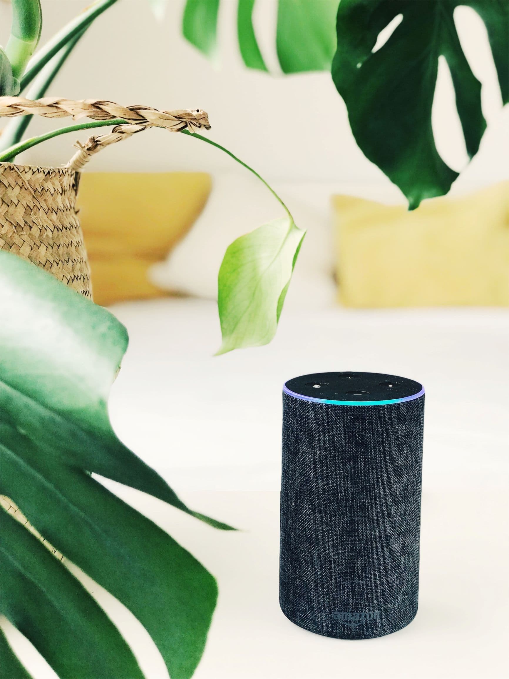 A voice assistant device on a kitchen counter
