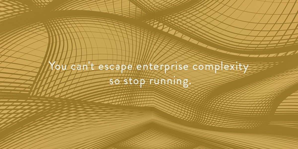 Embracing rather than escaping enterprise complexity